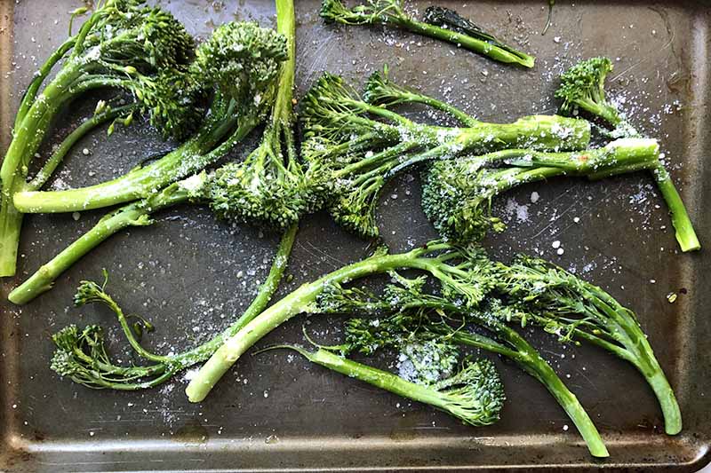 Horizontal image of lightly seasoned fresh baby broccoli on a baking sheet.