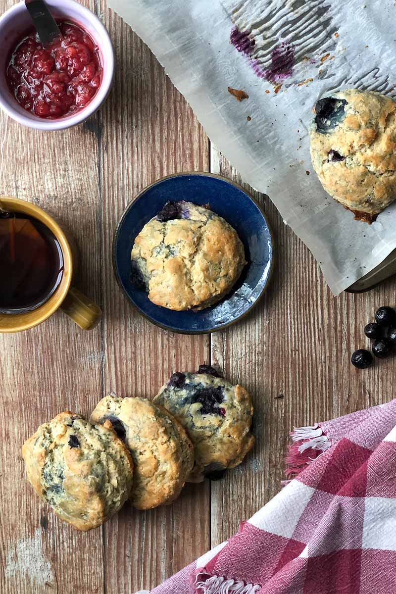 Vertical top-down image of scattered scones, some on a wooden table, one on a blue plate, and one on a parchment-lined baking sheet, next to a red and white towel, a mug of tea, and a bowl of jam.