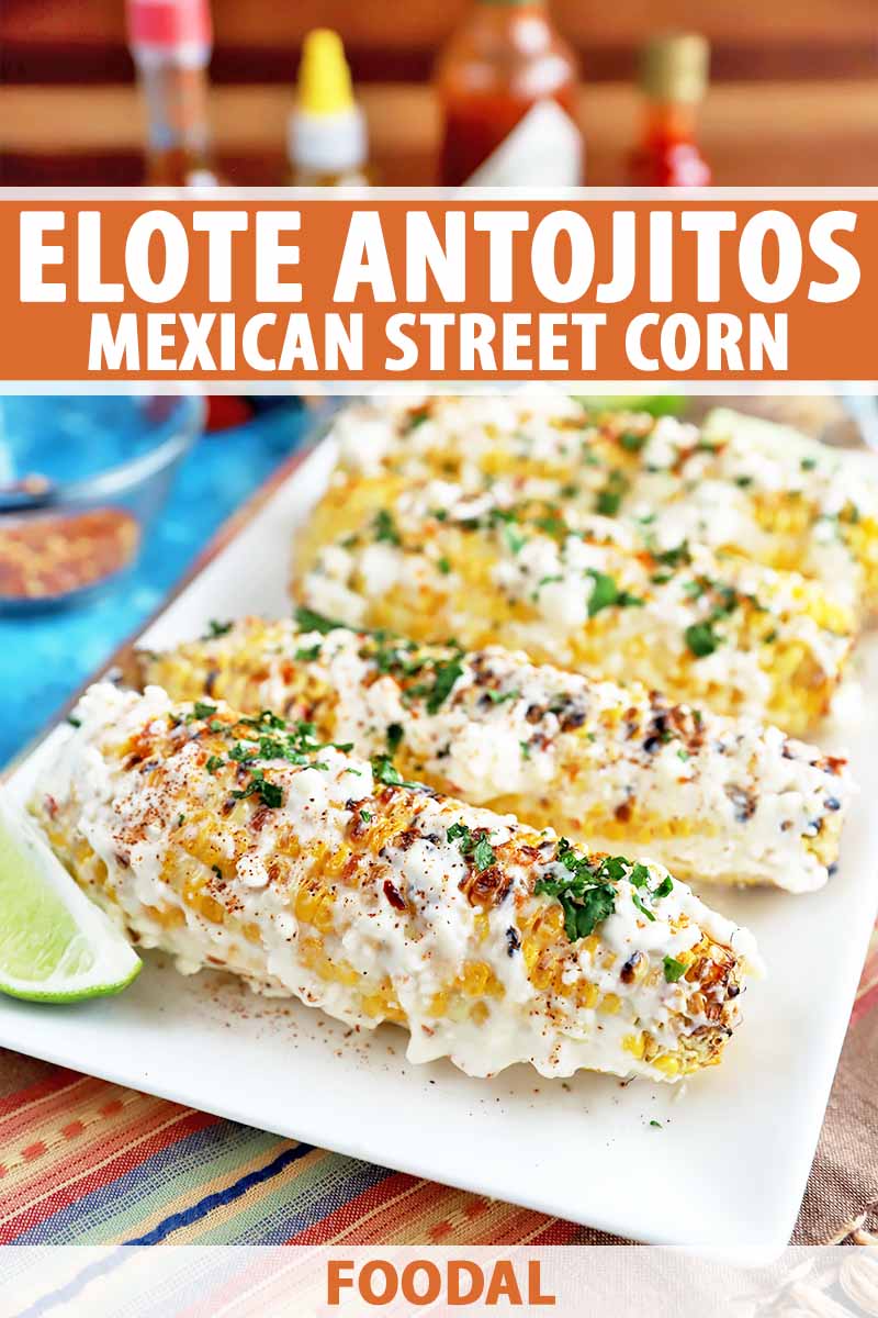 Vertical image of a white rectangular plate with Mexican street corn, with text on the top and bottom of the image.