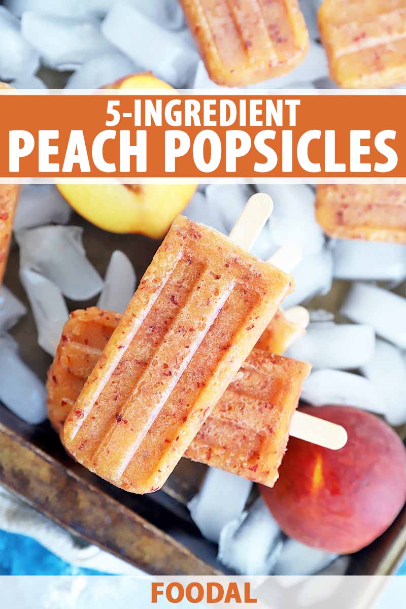 Vertical image of stacked light orange frozen desserts on sticks on top of ice cubes surrounded by whole fruit, with text on the top and bottom of the image.