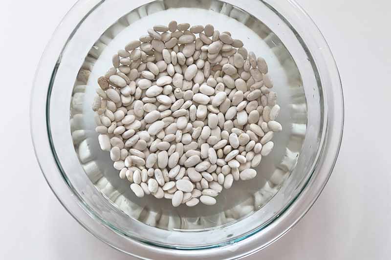 Horizontal image of soaking white legumes in water in a glass bowl on a white surface.