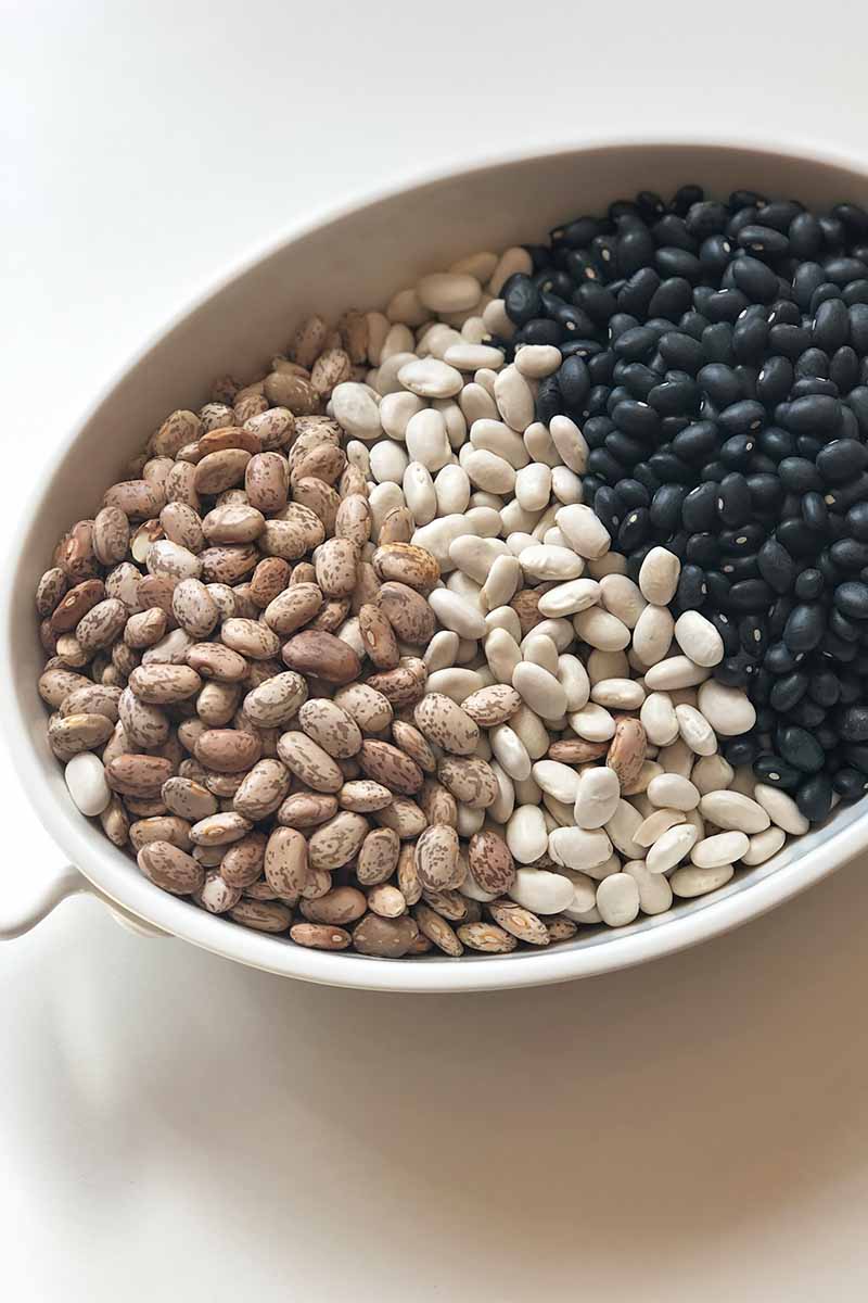 Vertical image of an oblong white pan filled with three types of neatly organized dried legumes.