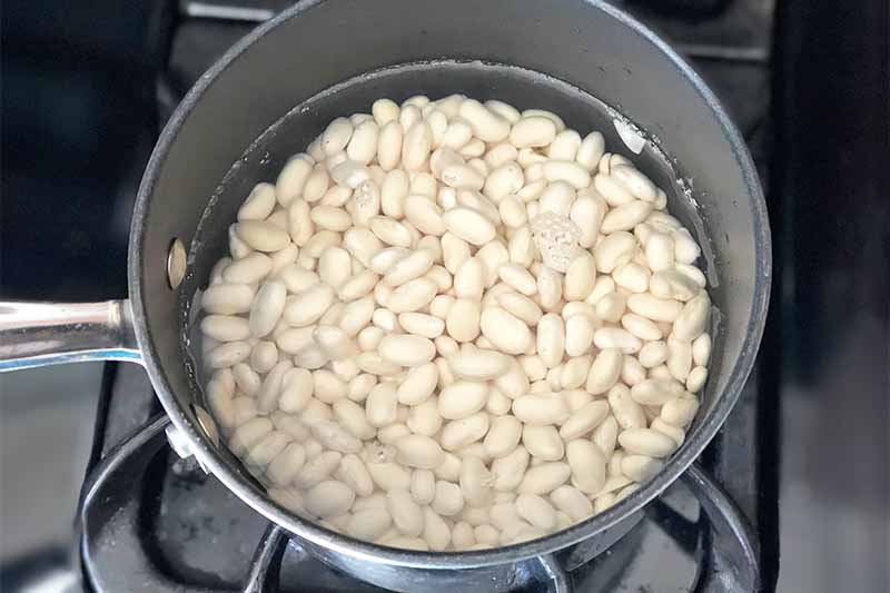 Horizontal image of a metal pot filled with water and white legumes on a stovetop.