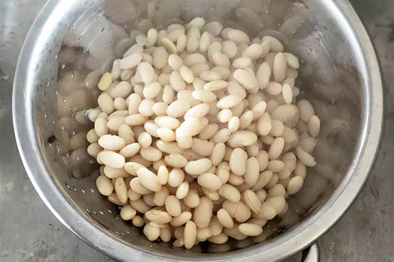 Horizontal image of cooked white legumes in a metal bowl.