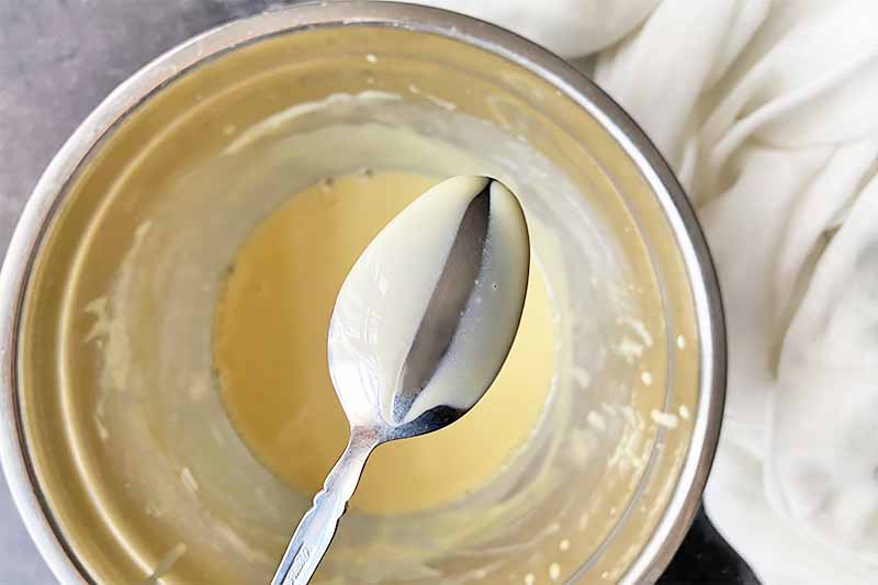 Horizontal image of a spoon coated in a light custard with a streak down the middle.