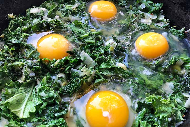 Horizontal image of four raw eggs cooking in a bed of wilted kale in a skillet.