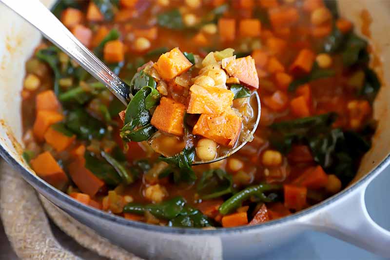 Horizontal image of a ladle with a scoopful of vegetable stew over the entire pot.