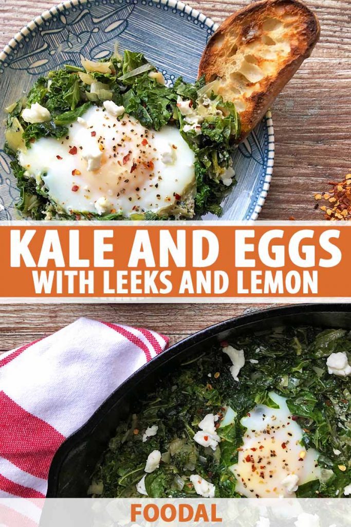 Vertical image of a pan with greens and lightly cooked eggs and a blue dish of the same meal with a slice of toasted bread, with text on the bottom and in the middle of the image.