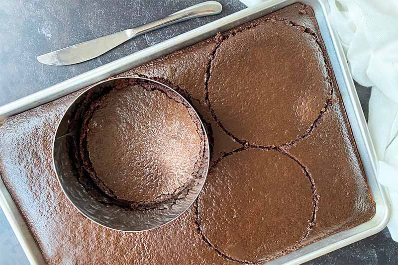 Horizontal image of a metal ring creating stencils in a chocolate cake in a baking sheet.