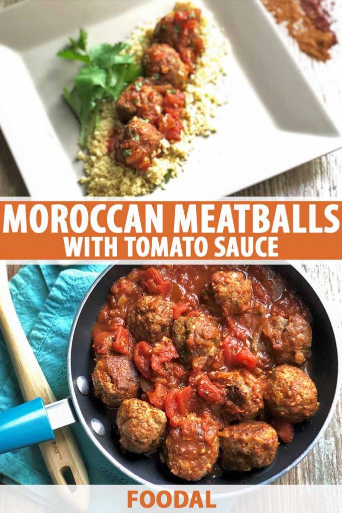 Vertical image of a pan and a plate of meatballs with tomato sauce, with text in the middle and on the bottom of the image.