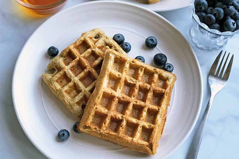 Horizontal image of rectangular waffles on two white plates with fresh blueberries next to a small glass bowl of maple syrup and a bowl of blueberries and a metal fork.
