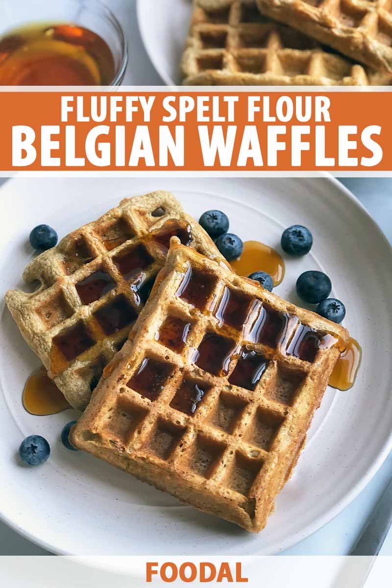 Vertical image of two shingled waffles covered in syrup on a white plate with blueberries, with text on the top and bottom of the image.