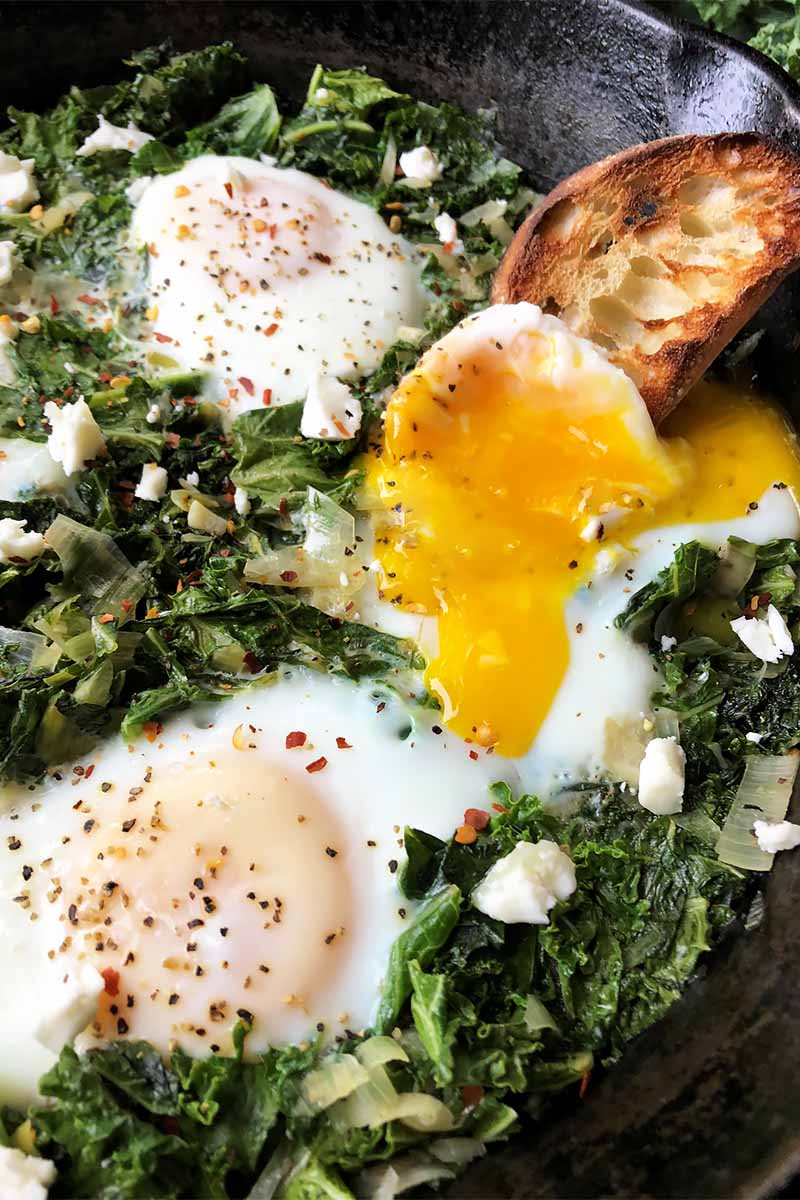 Vertical close-up image of a slice of toasted bread scooping a runny egg yolk in a dish with sauteed kale.