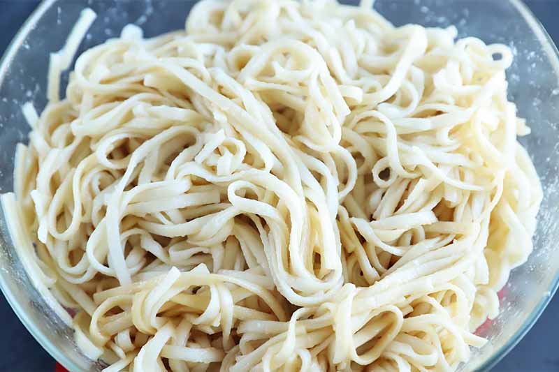 Horizontal image of cooked noodles in a bowl.