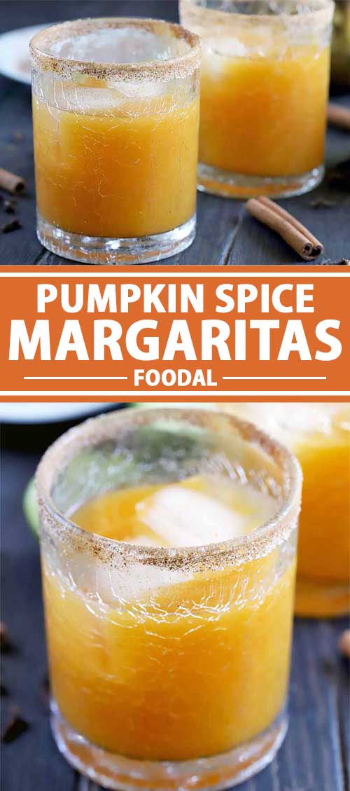 pumpkin spiced margarita