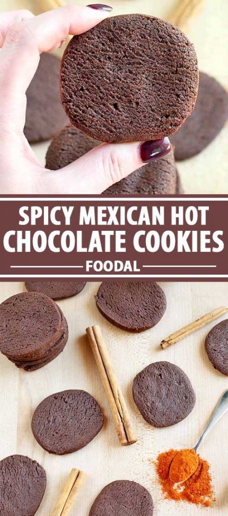 A collage of photos showing different views of Spicy Mexican Hot Chocolate Cookies.
