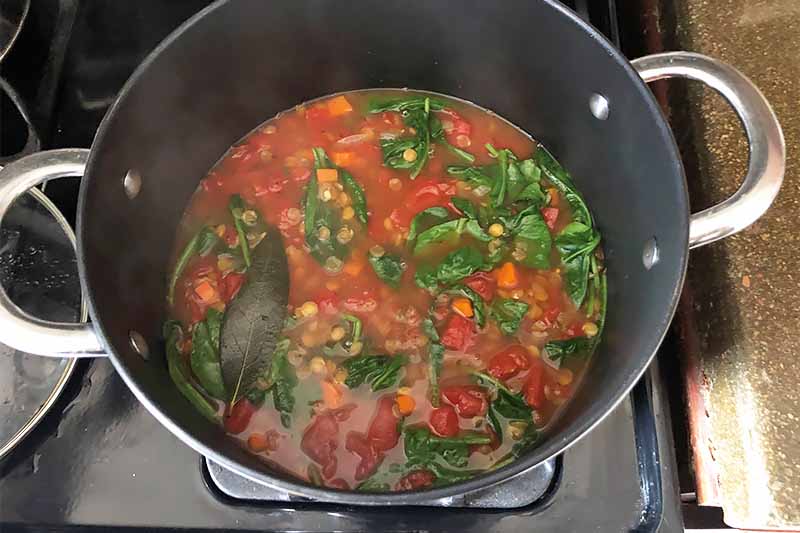 Horiztontal image of a pot filled with a red mixture with cooked vegetables and greens.