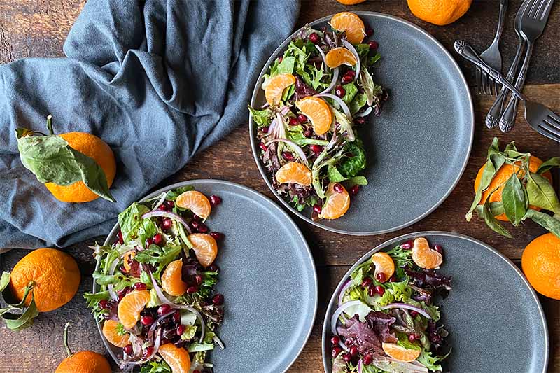 Horizontal top-down image of three gray plates topped with mixed greens and orange segments next to a gray napkin.
