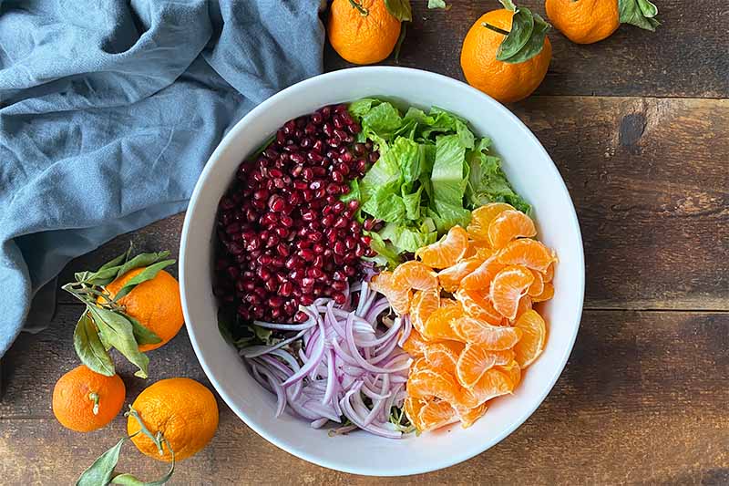 Horizontal image of a large white bowl filled with sliced red onions, lettuce, citrus segments, and ruby red seeds.