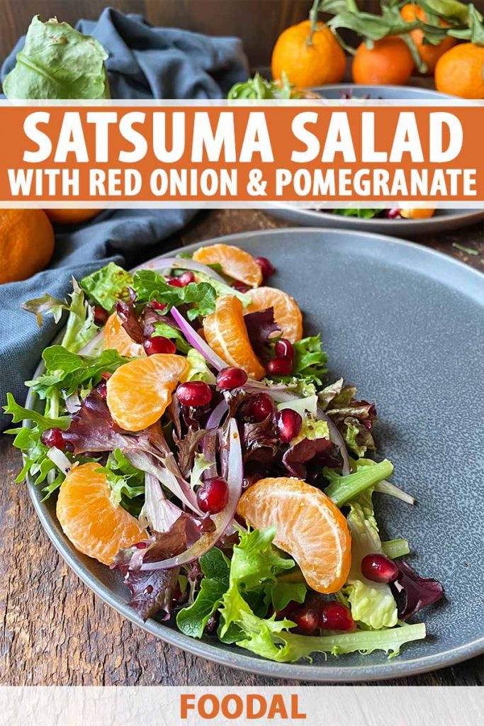 Vertical image of a gray plate half-covered with a salad with citrus segments and red onions, with text on the top and bottom of the image.