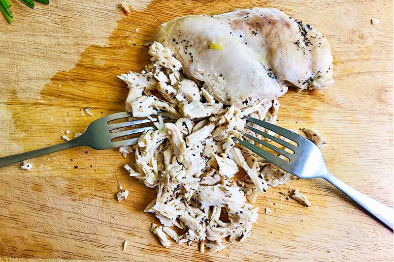 Horizontal image of two metal forks shredding cooked white meat on a wooden board.