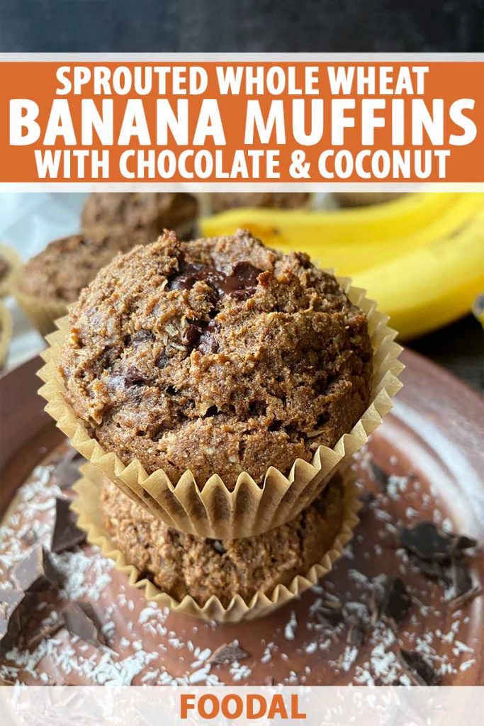 Vertical image of a stack of two muffins on top of coconut and candy chunks on a brown plate, with text on the top and bottom of the image.