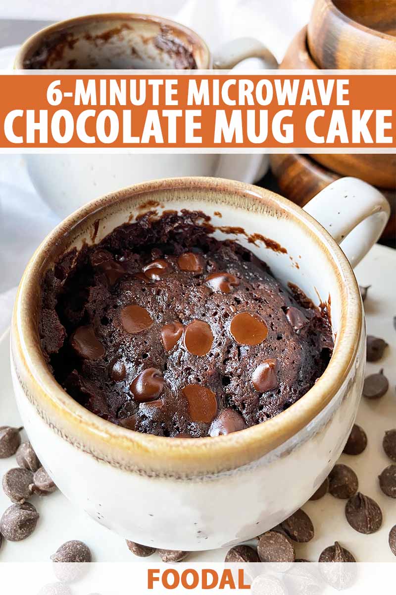 2 Minutes Eggless Microwave Chocolate Mug Cake