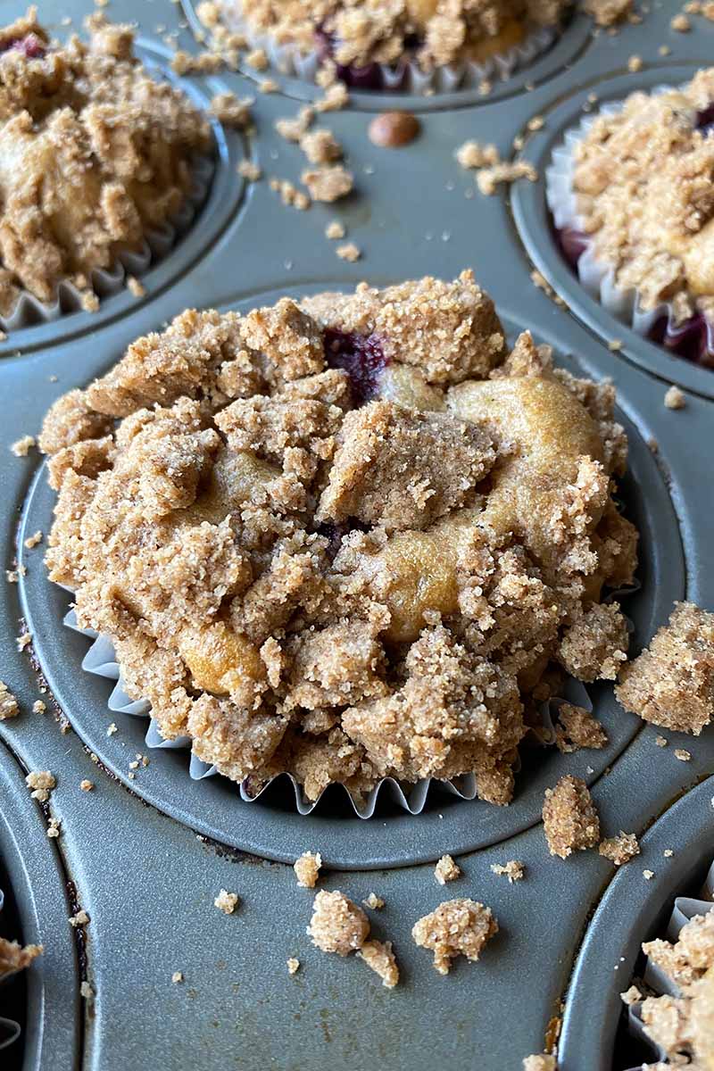 Vertical image of baked goods in a pan topped with a browned streusel.