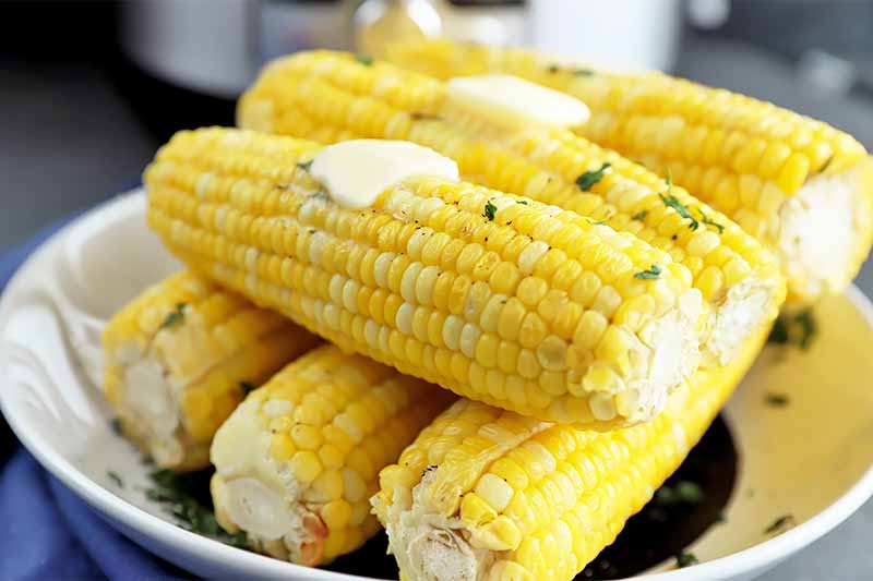 Horizontal image of a stack of cooked ears of corn garnished with herbs and butter in a plate.