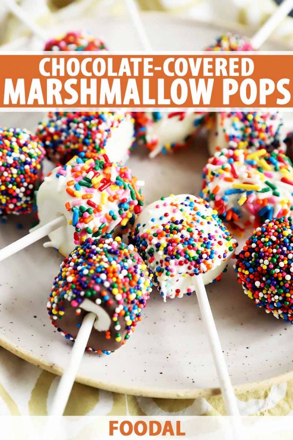 Chocolate-Covered Marshmallow Pops Recipe | Foodal