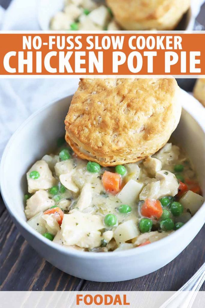 Vertical Image of a white bowl filled with a creamy mixture of vegetables and white meat with a biscuit on top, with text on the top and bottom of the image.