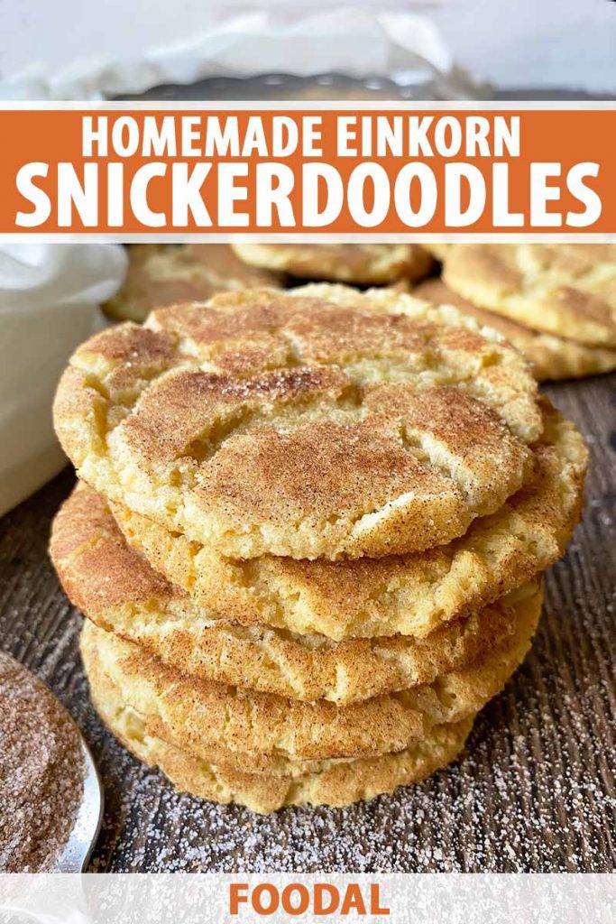 Vertical image of a stack of cookies coating in a spice and sugar layer, with text on the top and bottom of the image.