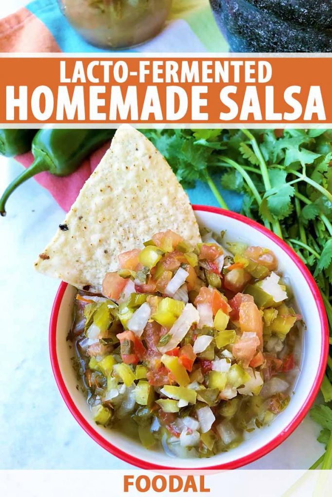 Vertical image of a bowl of salsa with a nacho in it next to herbs, with text on the top and bottom of the image.