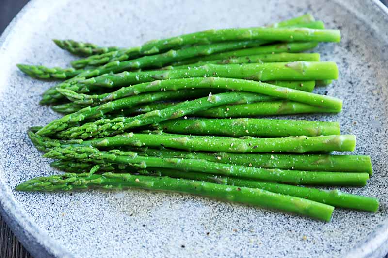 Horizontal image of a bunch of cooked asparagus on a gray plate.