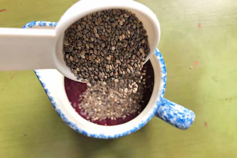 Horizontal image of pouring a spoonful of chia seeds in a mug with a purple liquid.