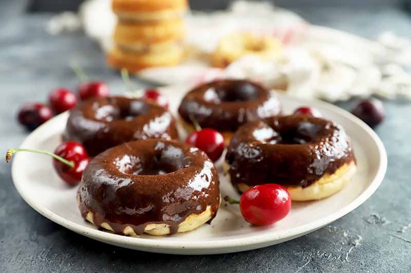 Horizontal image of four doughnuts with chocolate glaze on a white plate scattered with small red fruit.