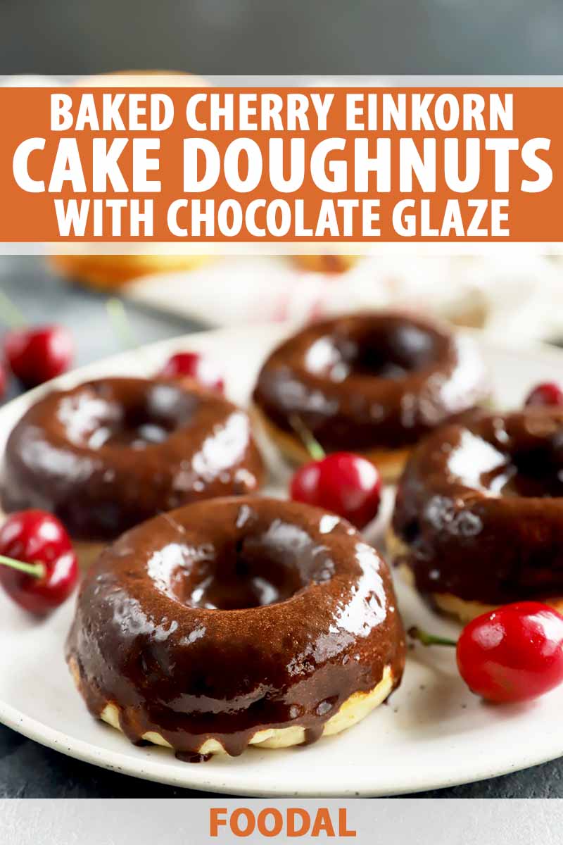 Vertical image of doughnuts covered in a chocolate glaze on a white plate surrounded by red fruit, with text on the top and bottom of the image.