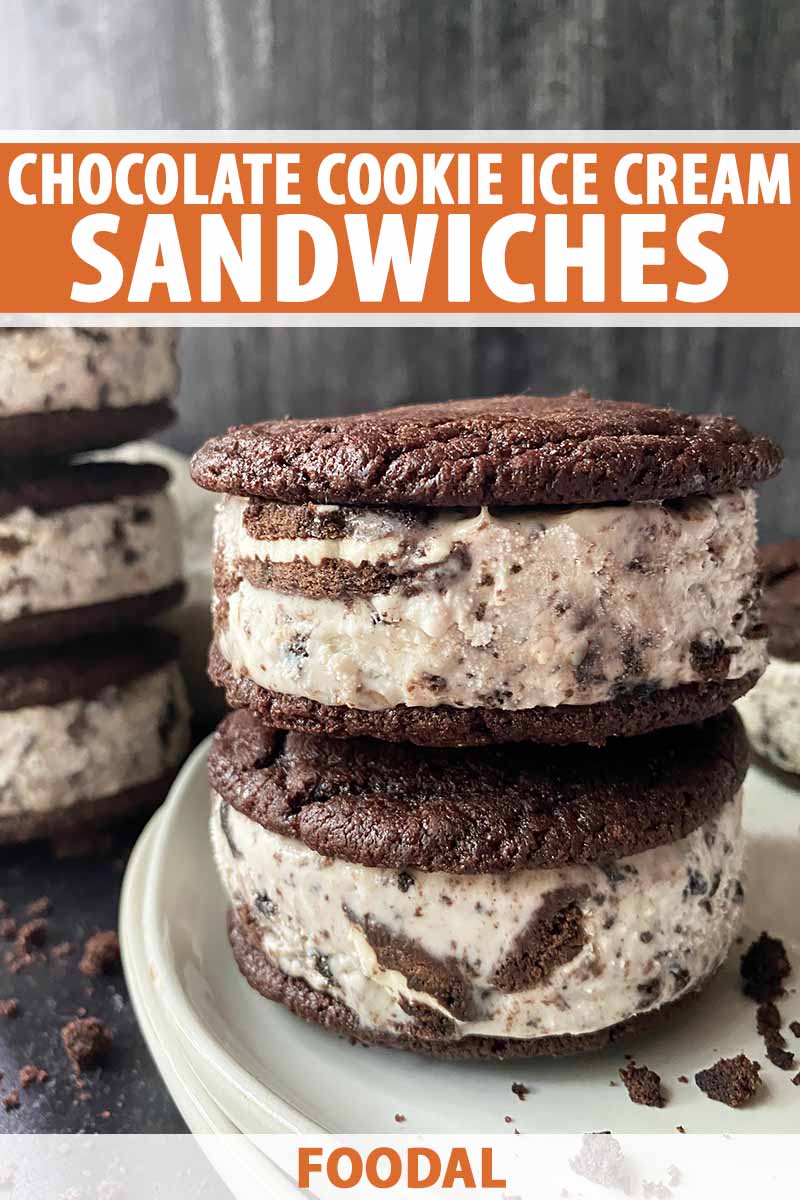 Homemade Chocolate Cookie Ice Cream Sandwiches