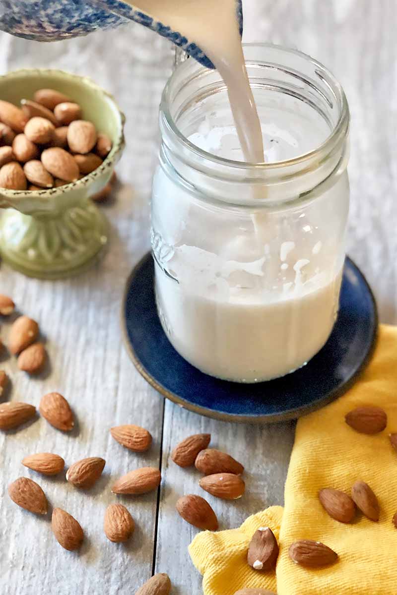 Vertical image of pouring a creamy white liquid from a vase into a mason jar on a plate next to scattered nuts.