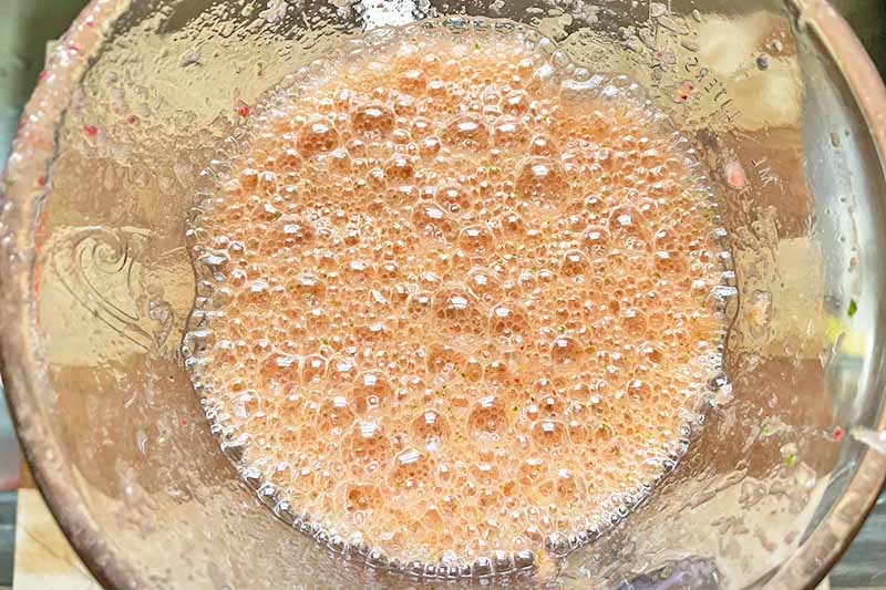 Horizontal image of a frothy orange liquid in a blender.