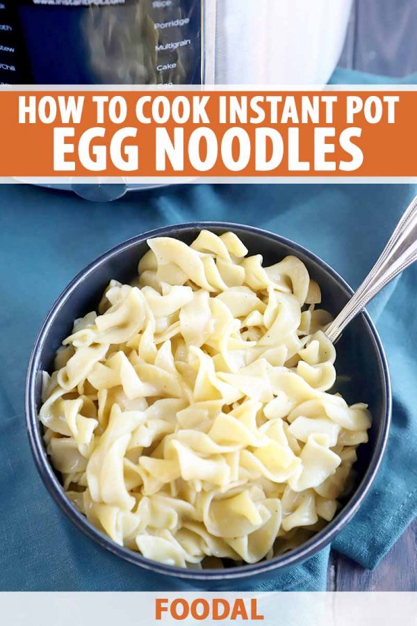 How to Cook Egg Noodles in the Electric Pressure Cooker | Foodal