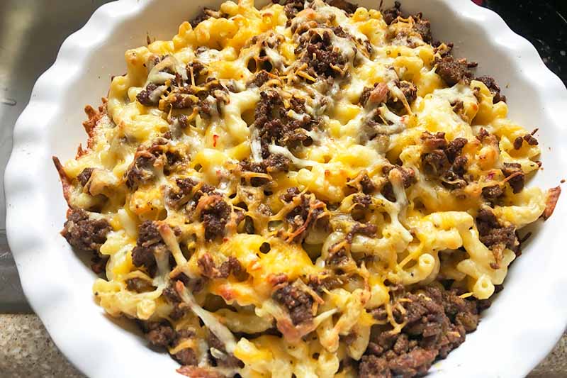 Horizontal image of a white pie dish filled with melted shredded cheese, ground beef, and cooked pasta.