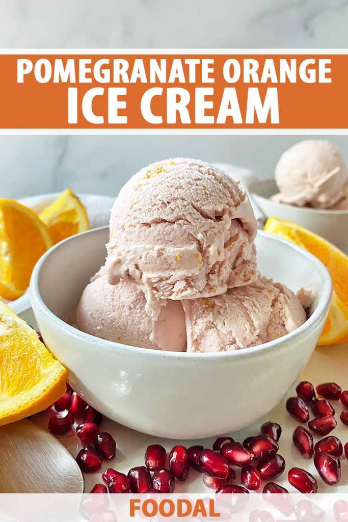 Vertical image of a bowl with scoops of a light pink frozen dessert next to fruit, with text on the top and bottom of the image.