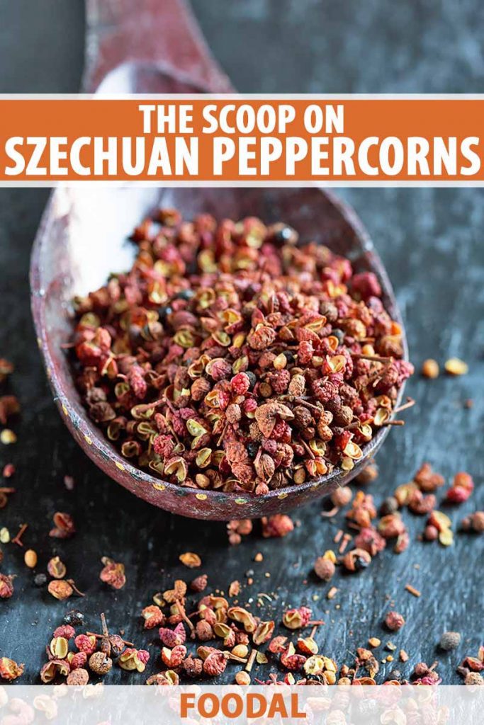 Vertical image of a scoopful of dried peppercorns, with text on the top and bottom of the image.