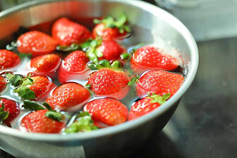 Horizontal image of a bowl of soaking strawberries in water