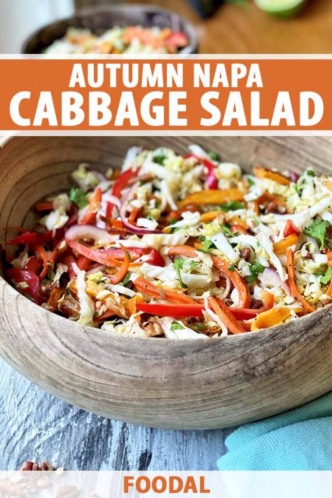 Vertical image of a wooden bowl with a mixed vegetable slaw, with text on the top and bottom of the image.