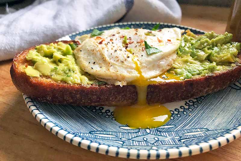 Horizontal image of an over-easy breakfast dish with mashed avocado on toast on a blue plate.