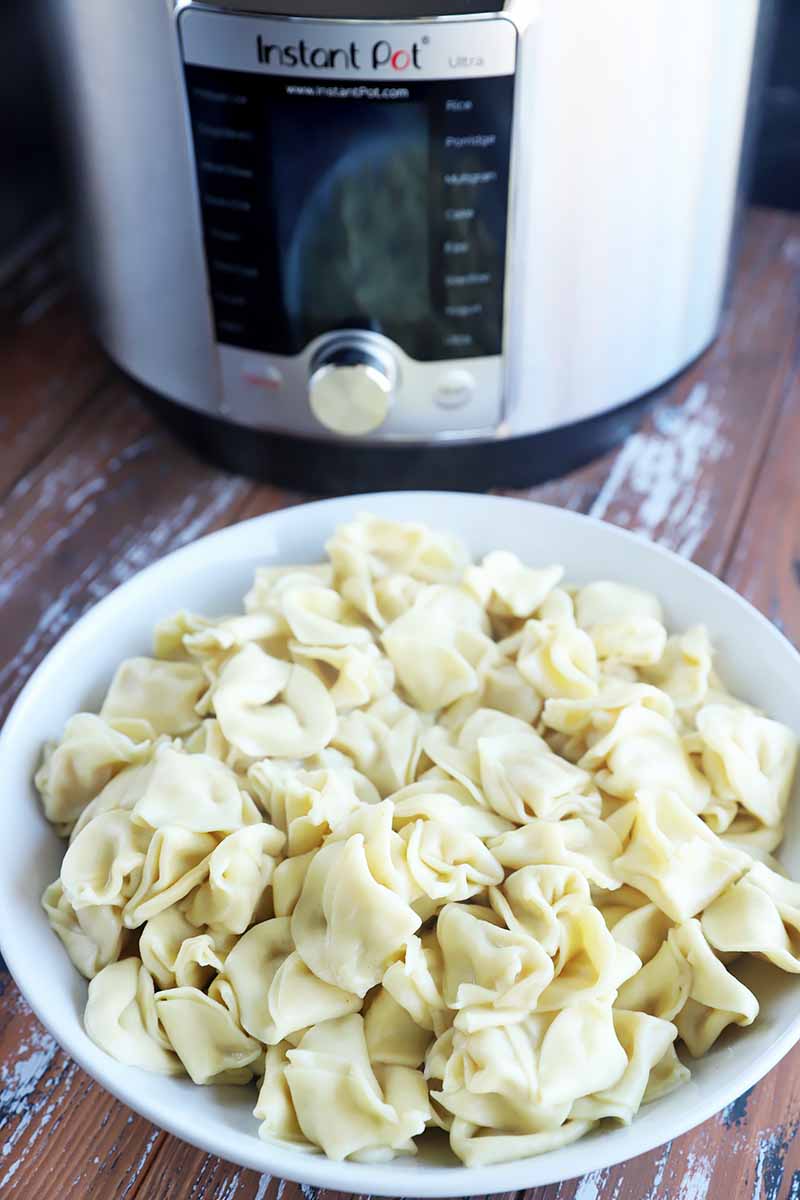 Vertical image of a white plate filled with stuffed pasta in front of a kitchen appliance.