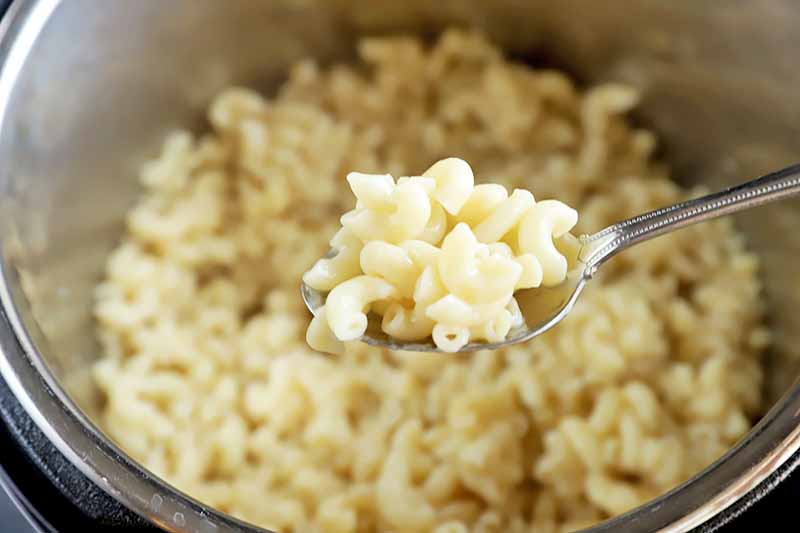Horizontal image of a pot of elbow macaroni and a spoonful hovering over the pot.