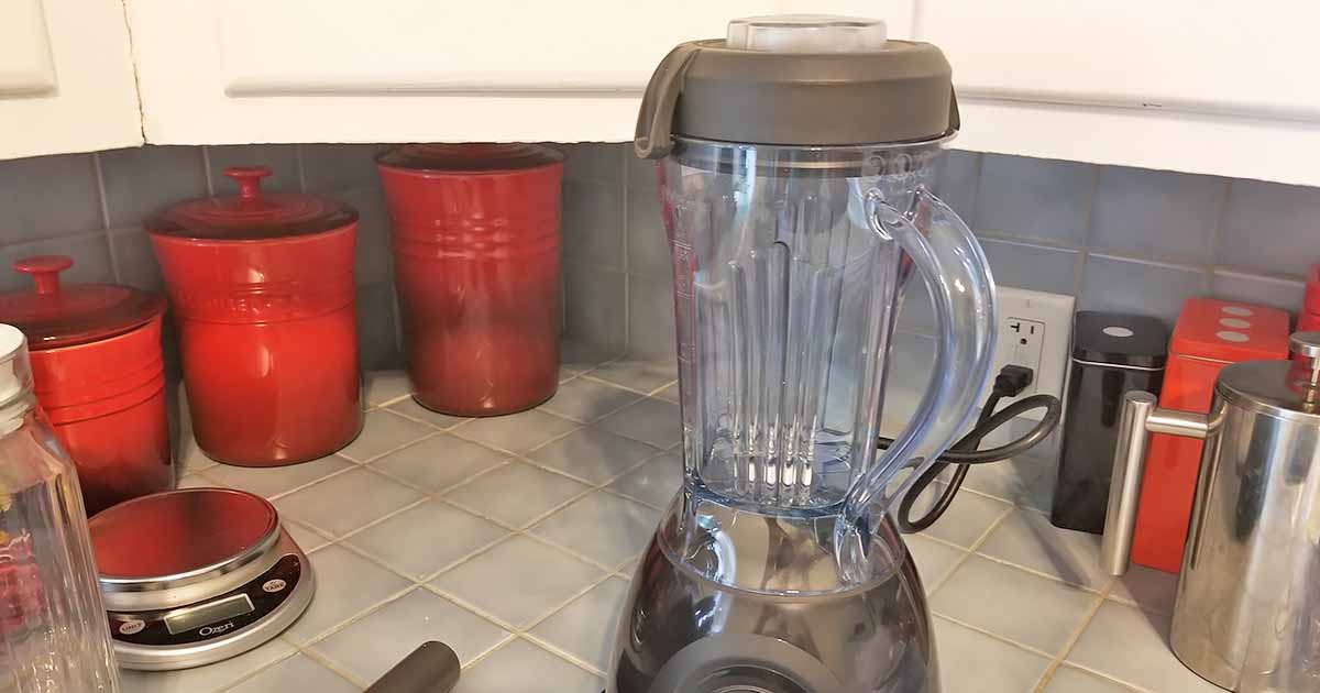 Vitamix ONE Blender  A Foodal Product Review